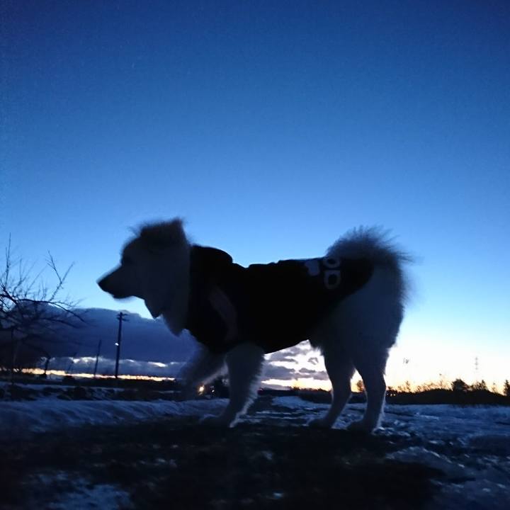 2f5d1db4 6974 40f2 abfc 59609bb25634 1515273668319