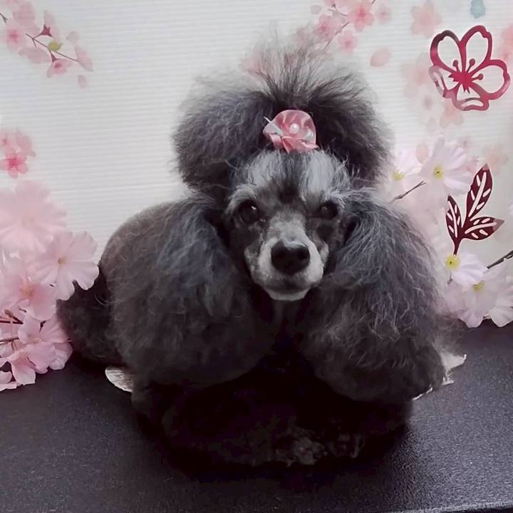 2f5d7881 adaf 421f a86c a4e3ae89f8d6 1775032991546