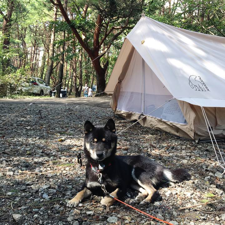 2f5d8a47 f0db 4e97 a185 73b59edd623f 1537765168118