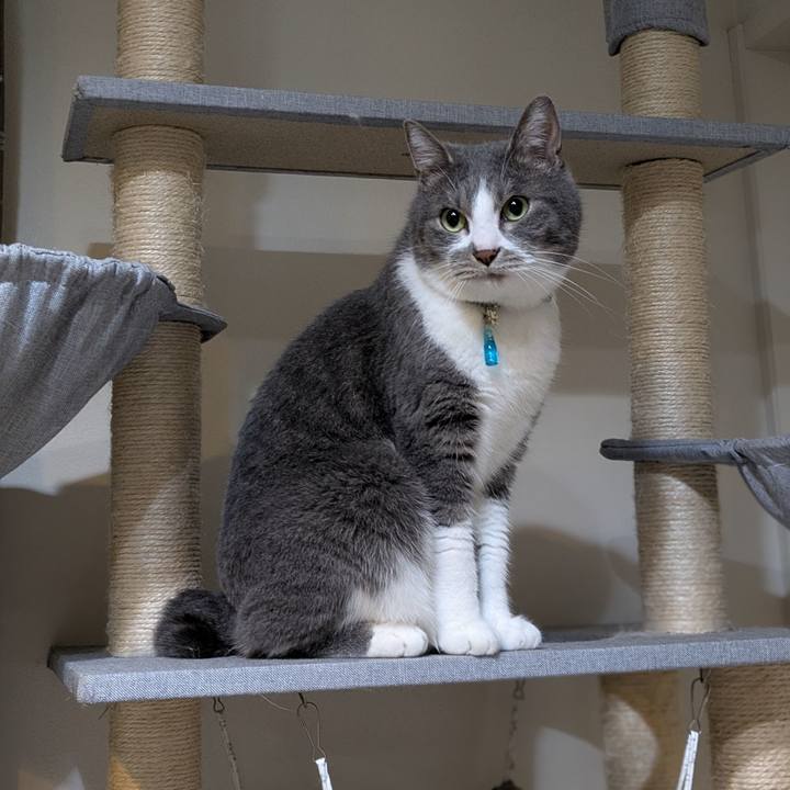 2f5dbd4e acae 43cc 80bd 6c9810809894 1745282936276