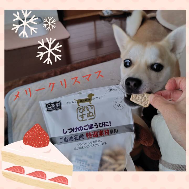 2f5dc268 4002 43ba 96d5 ae3379d52dea 1766561691002