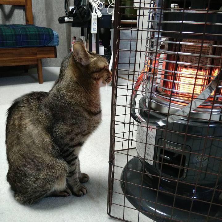 2f5dd6ef 3153 4668 8b6f 43710a9e40d6 1709717614397