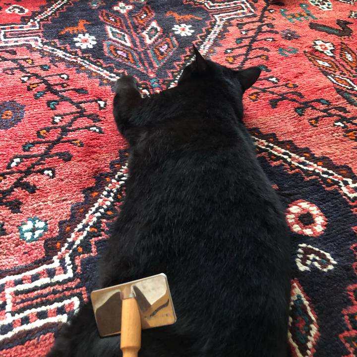 2f5e3672 944d 44d3 a2a5 c8cae15c8142 1564350508509