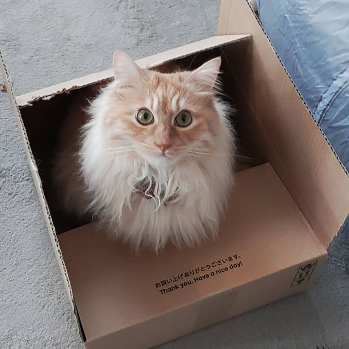 2f5e85a3 e52d 4c43 86f0 746caceefbae 1714873730074