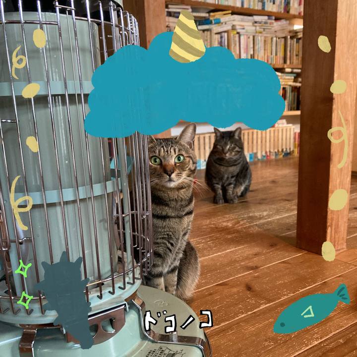 2f5e98ab bfee 4fba a57e 0705113036b2 1706916944294