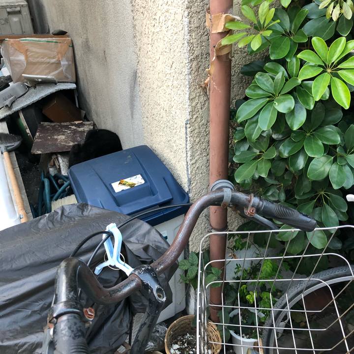 2f5ec507 7934 4a0a 90c4 f694f9bdc2c9 1543421068427