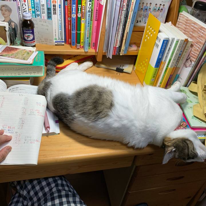 2f5eeeb3 7271 43d0 b747 a8fe9a0cc20f 1605649092653