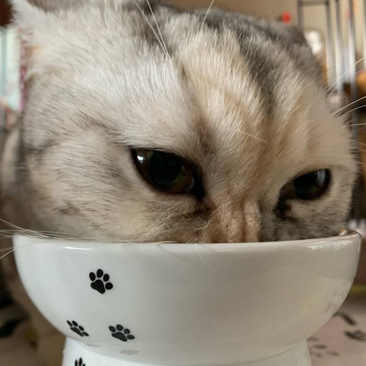 2f5ef19a d3d0 4a9a 8abf f4bda638dc14 1705190971841