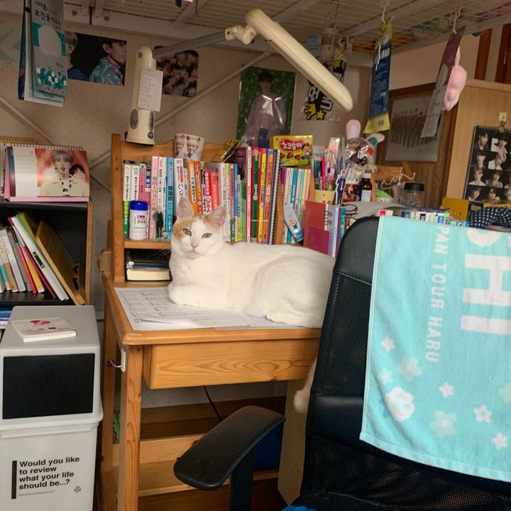 2f5f0b87 d736 48c0 8439 88050c2245db 1628931339261