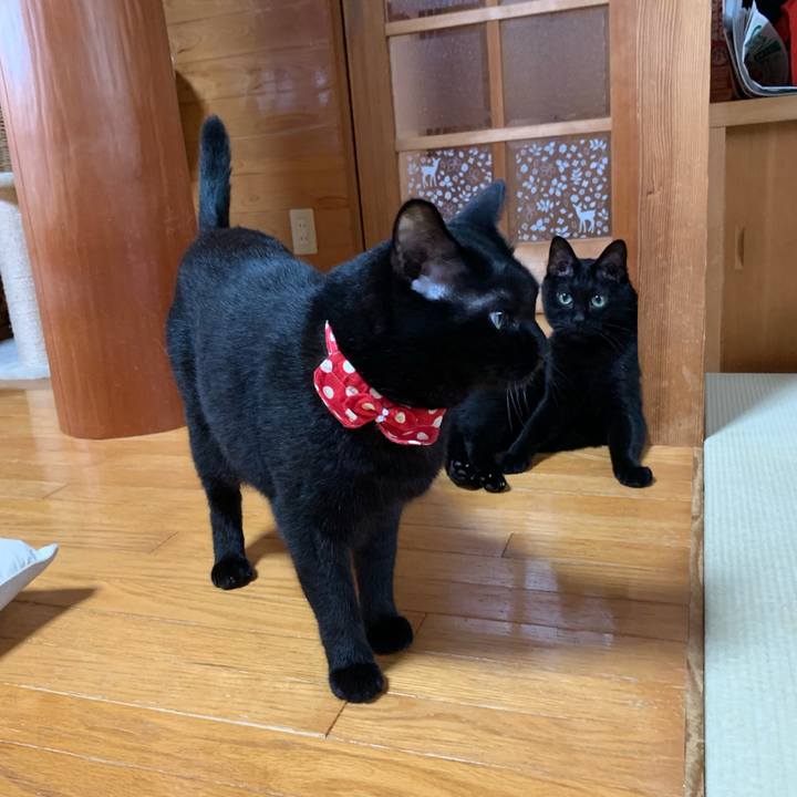 2f5f236e 8546 415d b2d3 489f046436bd 1566800708225