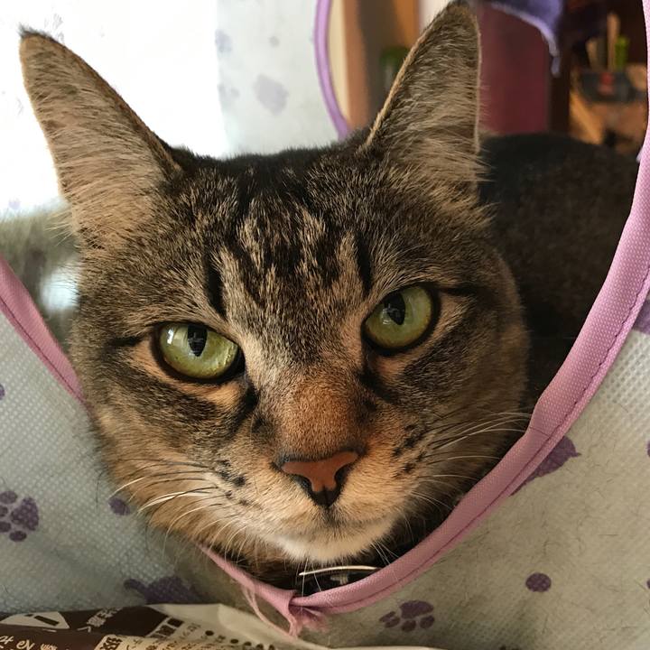 2f5f2a90 0fa6 4787 b1c3 19e4184f505f 1524123372970