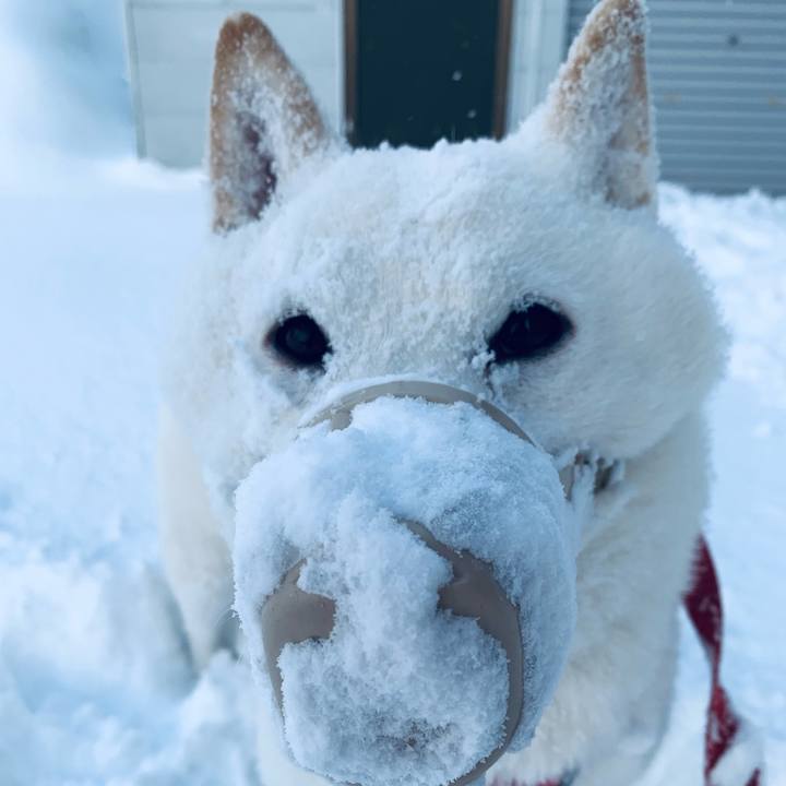 2f5f308e 9495 49a2 ba94 50b2e49445ca 1608010678698