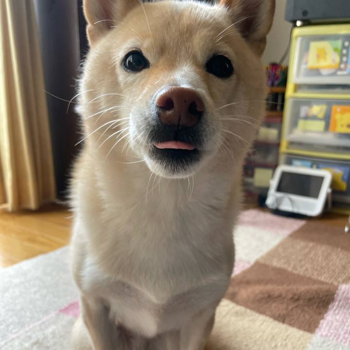 2f5f448b 10c3 4628 a598 3fb598ef9268 1668656569562