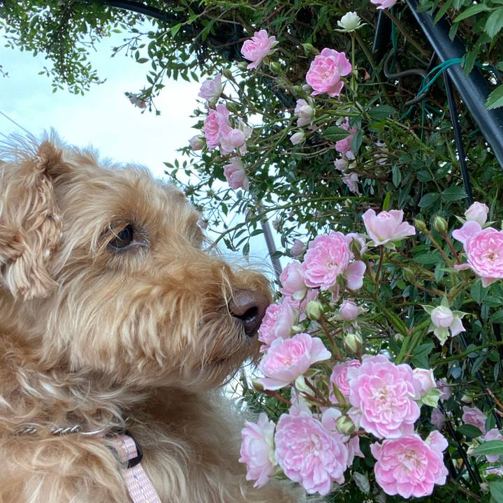 2f5f4b69 b7e3 44d8 80ea 017e2e2f31d9 1655938883641