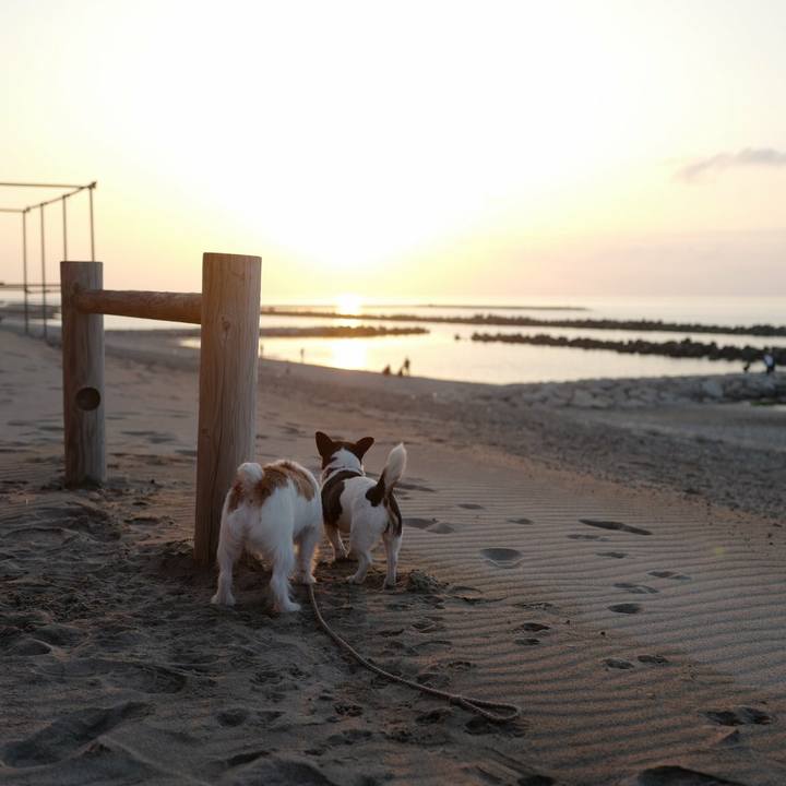 2f5f56f2 b724 4ba0 a3fa c0607cb9d5cf 1520223659599