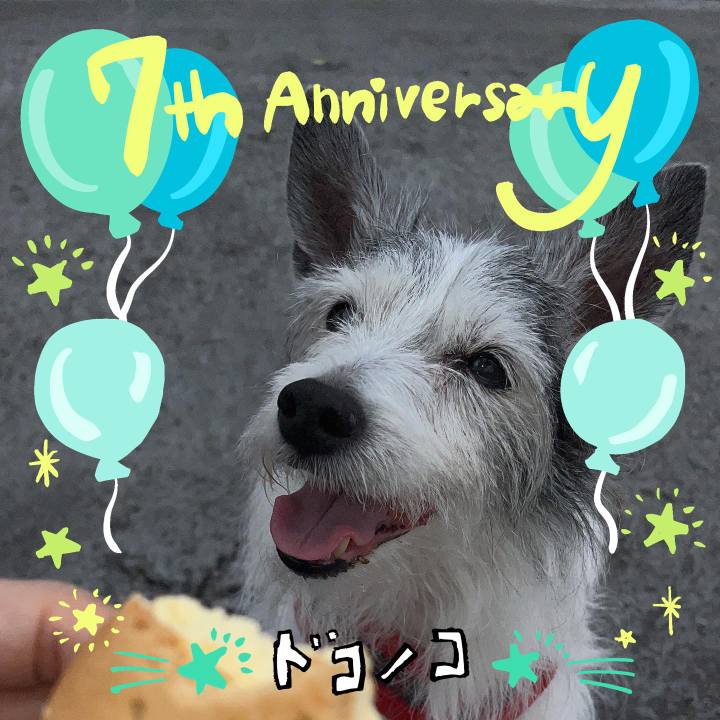 2f5f898a f1f3 4f2d 98dc a74a7ad9e059 1685966973203