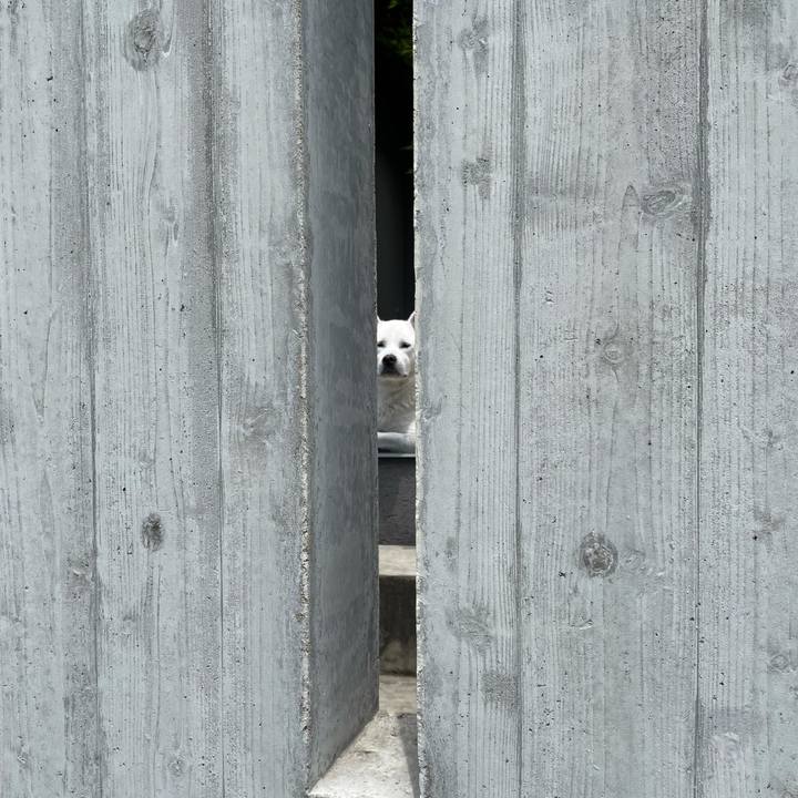 2f5f9744 1c00 4fcd 9fa0 7ae496c53e9e 1623903422064