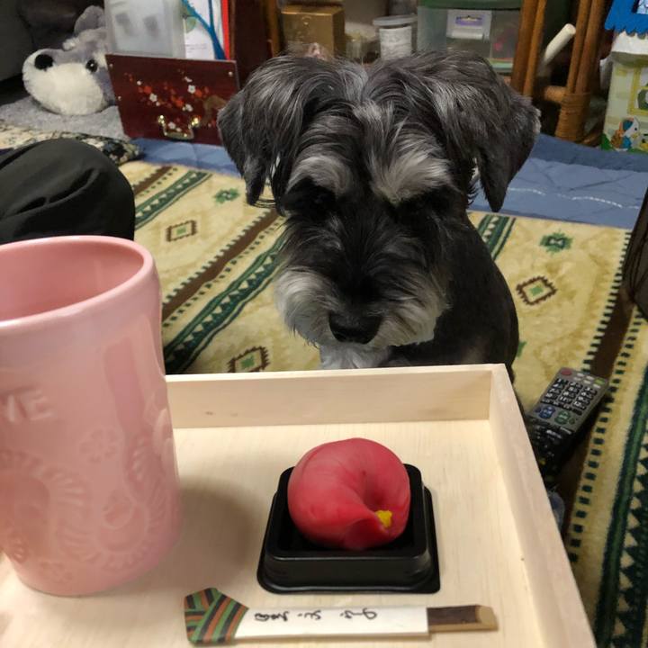 2f5fbed2 71af 4875 a526 bdd73614e2c6 1673229336664