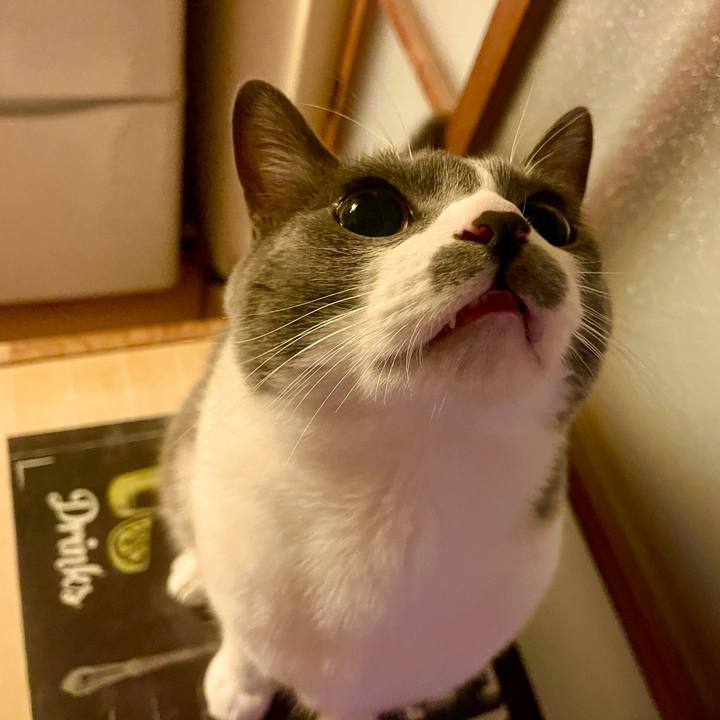 2f601683 ce6c 482a a4b3 f560884c8d78 1635676362876