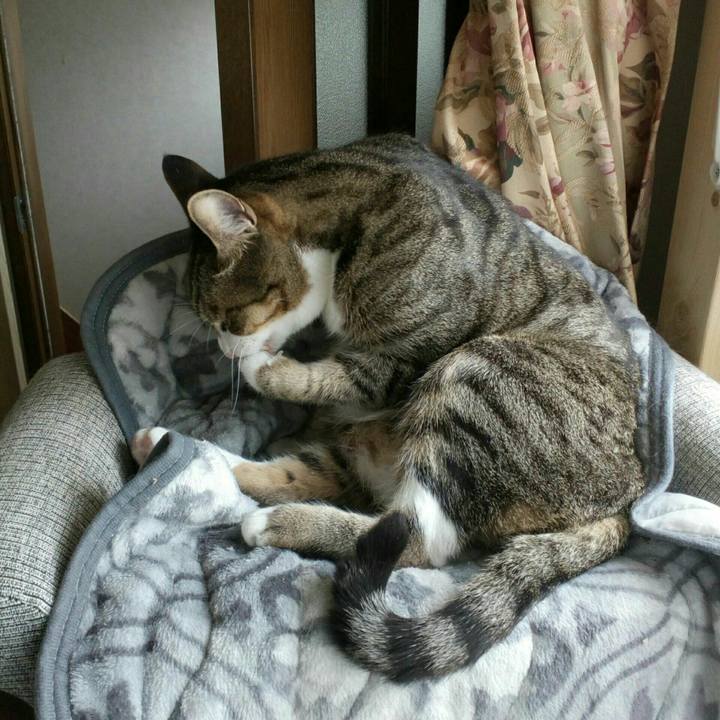 2f602425 7d80 45bc 9b20 0f40165fbad4 1525856286625