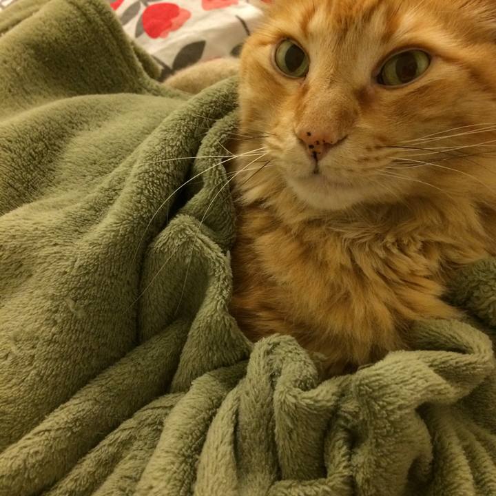 2f602914 2254 46ea 8d80 fbd75e2ac4e1 1539447776850