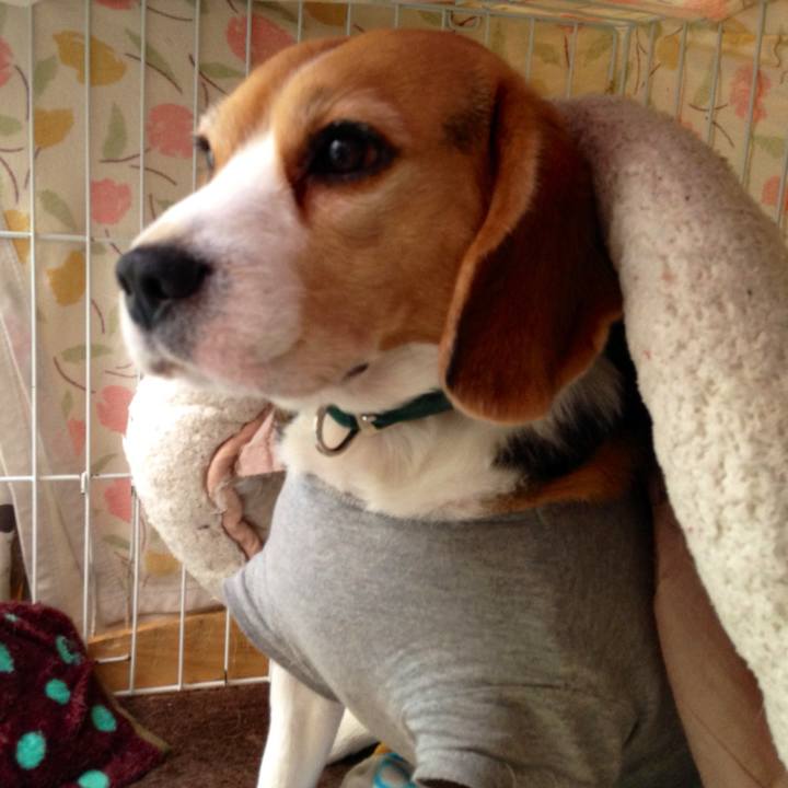 2f605c16 e3cd 4fb5 9707 0b391ed78551 1743327461384