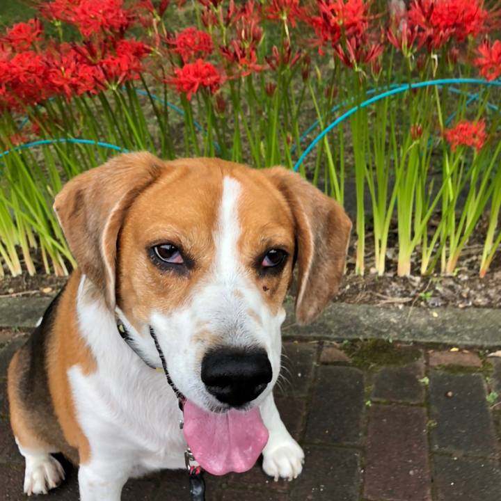 2f605ce2 8cc8 40ce adf4 753440153c1e 1663505170914