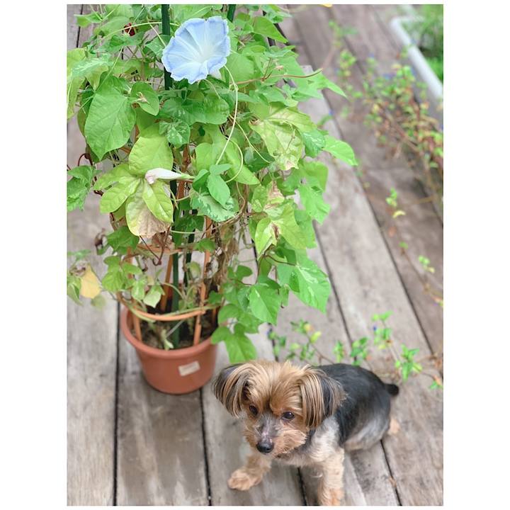 2f605e65 9321 4286 a9a9 cd16eff95547 1631830024478