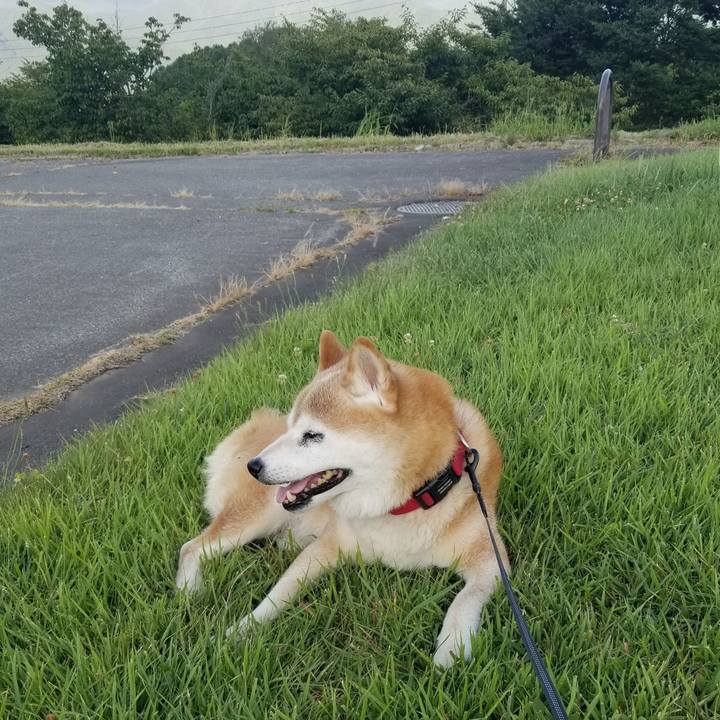 2f609e81 a18e 4bf2 9d32 d6f96a1f33e1 1723279415188