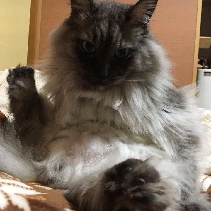 2f60f2ae 0aea 428c 85eb 824995dd6b54 1550630415143