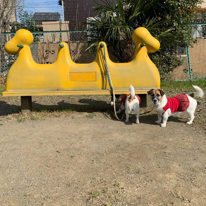 2f612a97 11fa 457a 99d9 c20a60e466d8 1582943978780