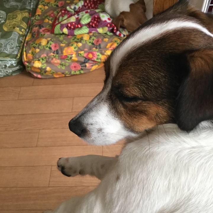 2f61345b 9484 4783 96c7 708693635d6b 1529810445136