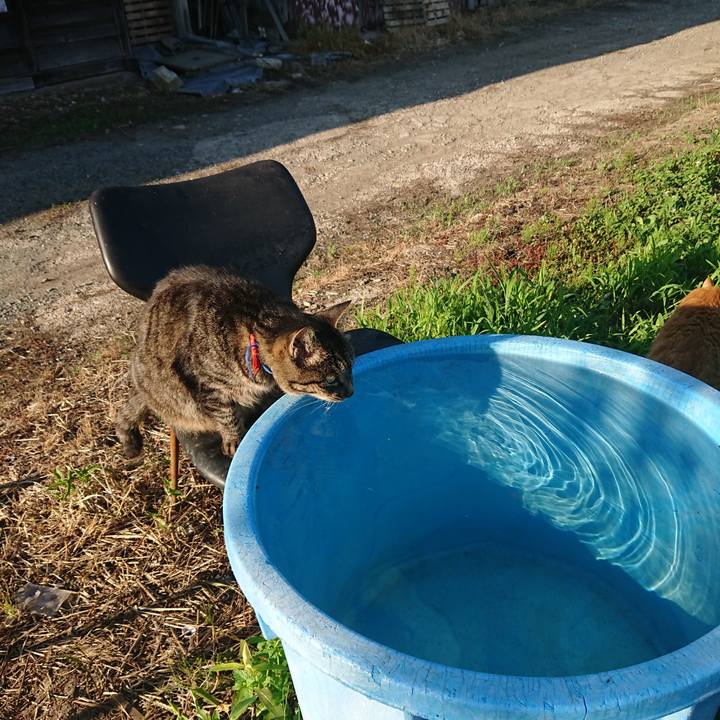 2f613fb2 5234 4205 a475 0ec83b28f9c8 1659082481427