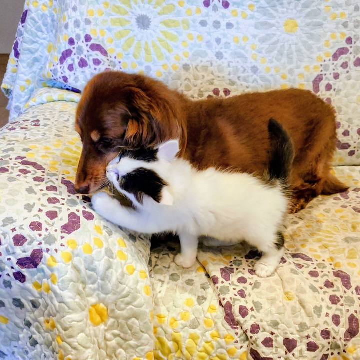 2f614188 f98e 438b aa18 b941cba84278 1758261098627