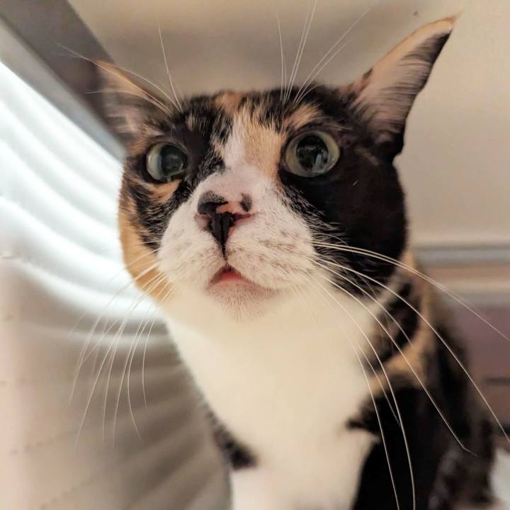 2f61b30e 93fe 45c0 88d5 37271f2b4397 1697169177988