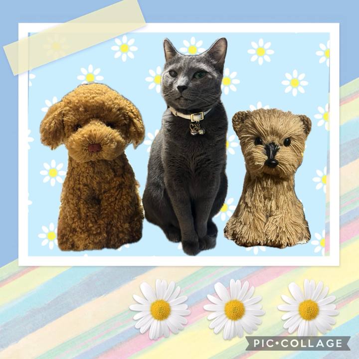 2f61c2c2 54d6 43b2 b4f2 922806bb4c0d 1715302608564