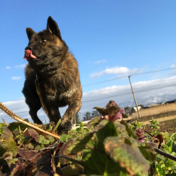 2f61f154 e9fb 44ad 9de6 ddb3bb1823cd 1520310741871