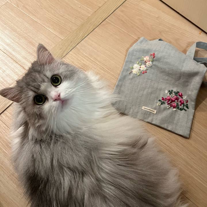 2f620157 bd4b 4d1b acbf 091beeae43fc 1665311339299