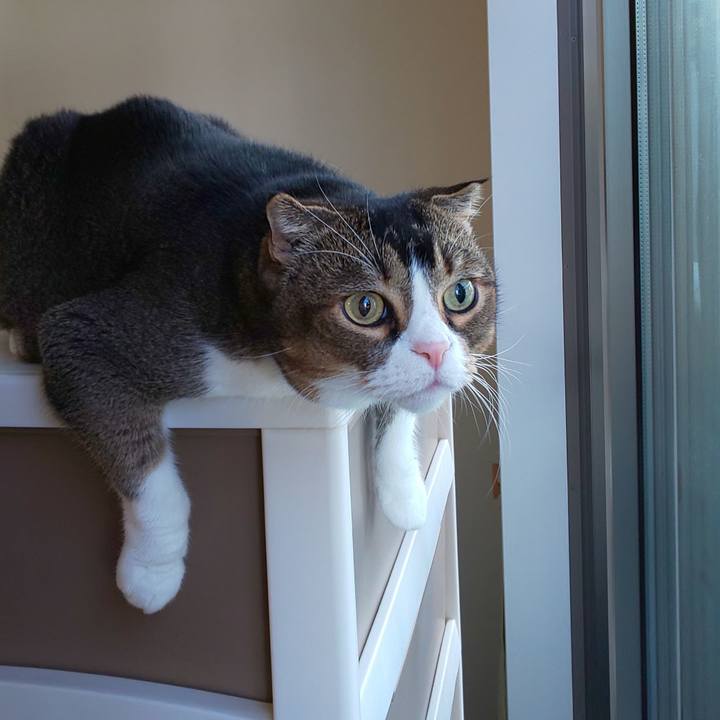 2f6209a0 9658 4028 a615 d53e42507adf 1666491632974