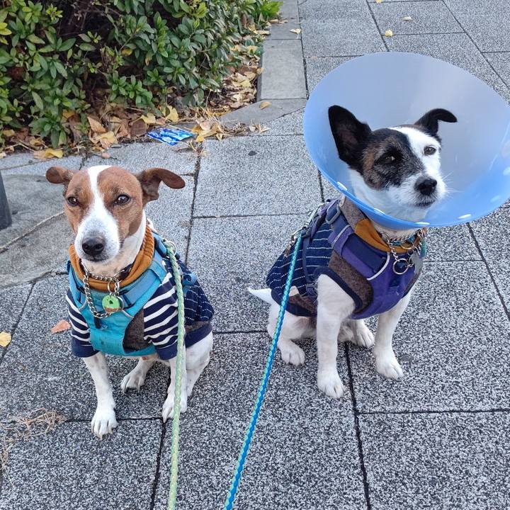 2f625767 cd83 49d6 8653 e542e366cf6f 1669507312306