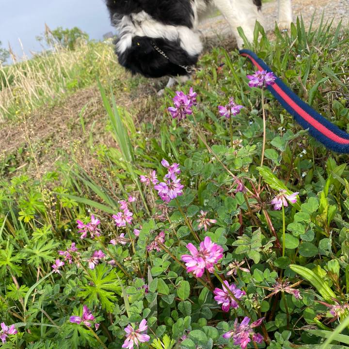 2f629e3f ce78 43b7 a497 63d576d5a127 1649809652639