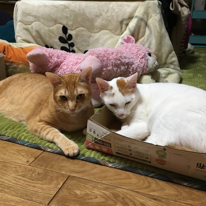 2f62a97d a583 4d3b 910d 8bc96da56a40 1543755049894