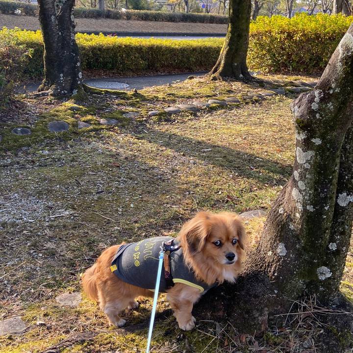 2f62bca8 14f0 4895 bbc5 269c2be3eaa2 1673224803621