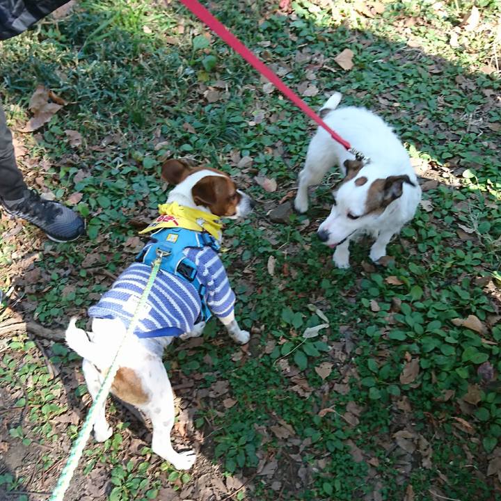 2f62bd27 b399 4b3f ad04 b622dfbc3f68 1606545682208