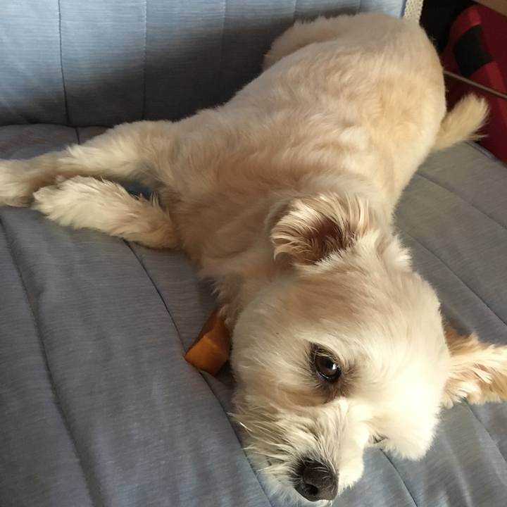 2f62bf9d a2f9 4b5c 92c8 78e49dd2c6a7 1535604521556