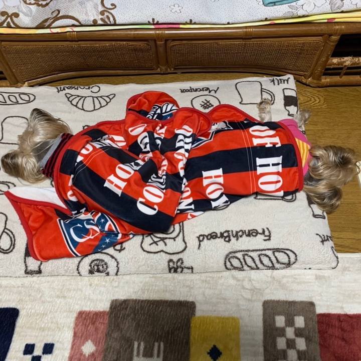 2f62cfae 8a6e 44d6 8e6c 452910a4246e 1641719904162