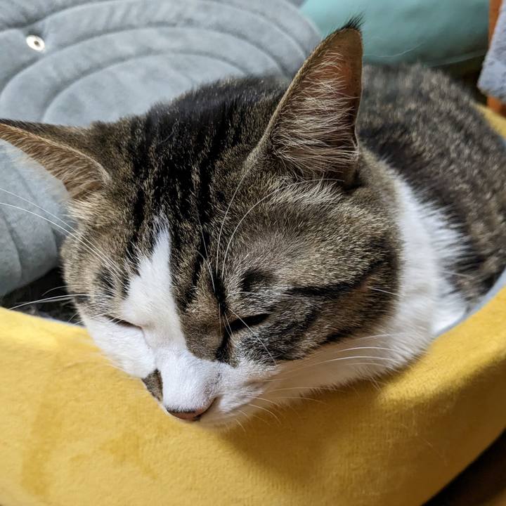 2f62f85f 253a 44be a51f 85ce7fe5412c 1671679059421