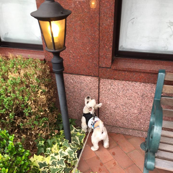 2f630dd6 a21a 497f 925c da67812a6e4e 1538288561194