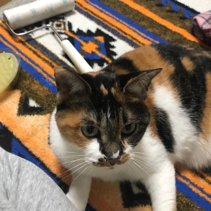 2f632b31 127b 4e67 8c3b 3541a527b920 1548443961043