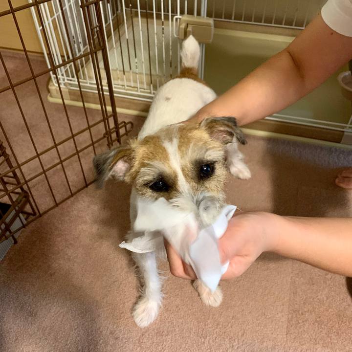 2f6352d0 660f 46eb b906 67f550e64587 1629024935355